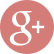 google plus icon